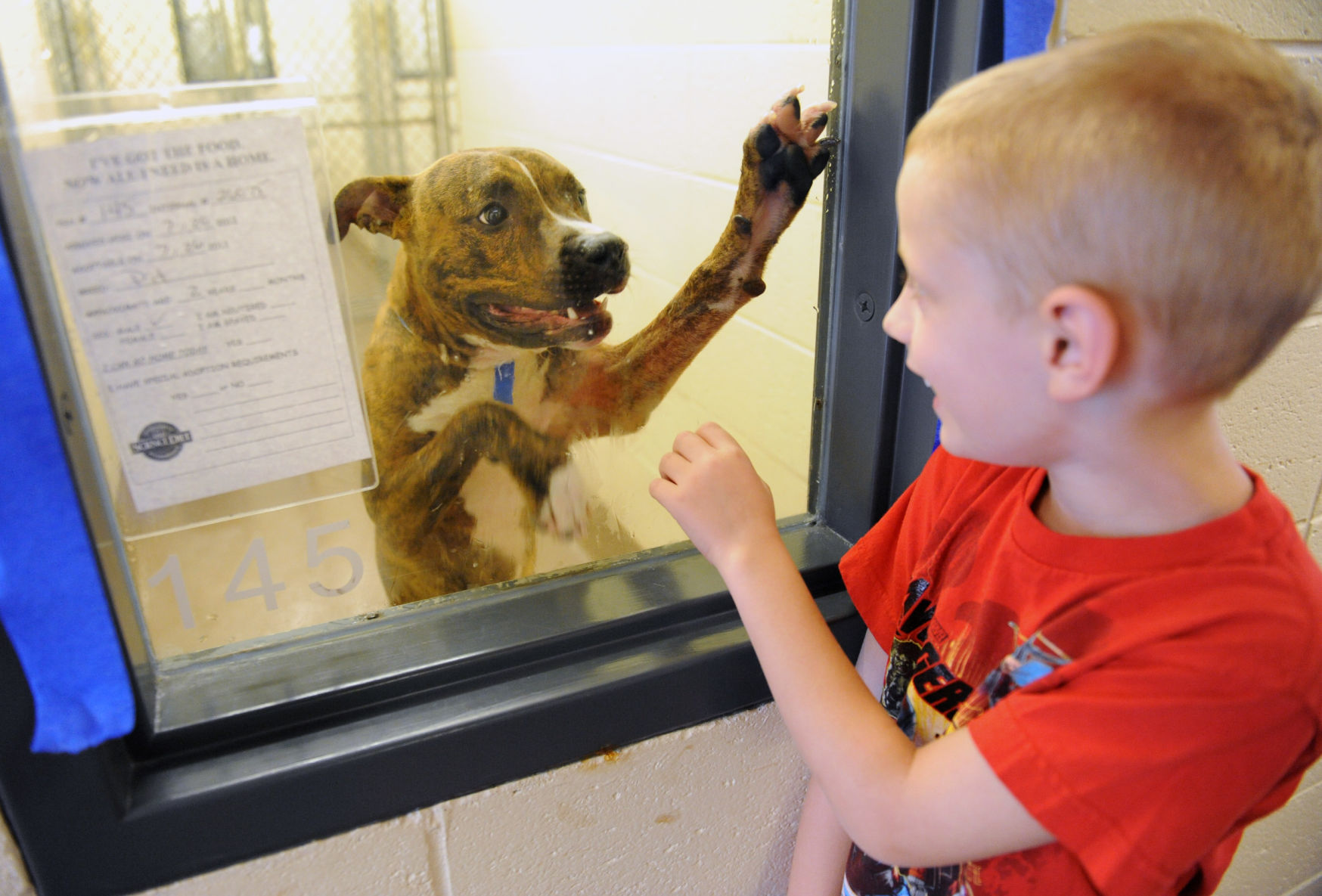 Best Friend Pet and Safety Festival